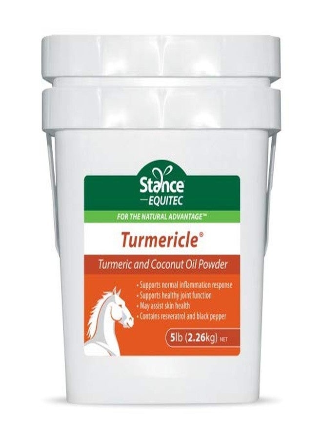 Stance Natural Turmeric Powder for Horses with Powdered Coconut Oil Equitec Turmericle Anti-Inflamatory Horse Supplement for Healthy Hip & Joint Function - Normal Skin Health (5) - Image 1